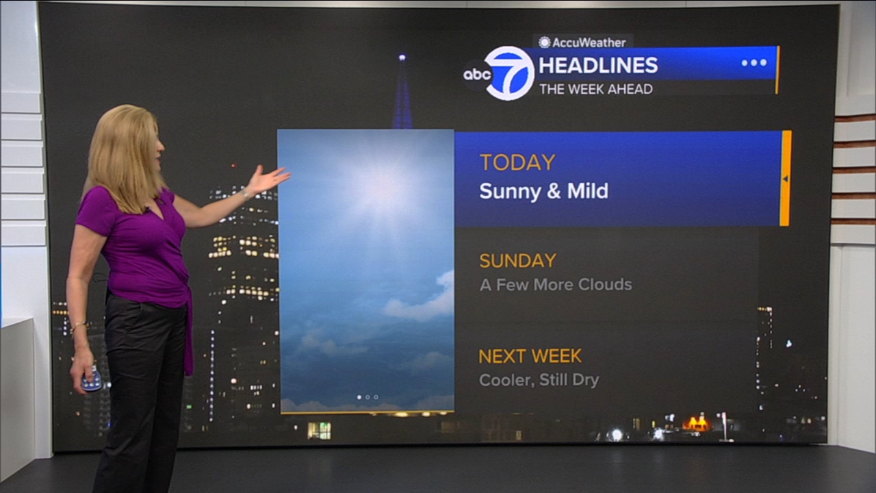 AccuWeather Forecast: Sunny and mild
— ABC 7 Bay Area, Midland Community news