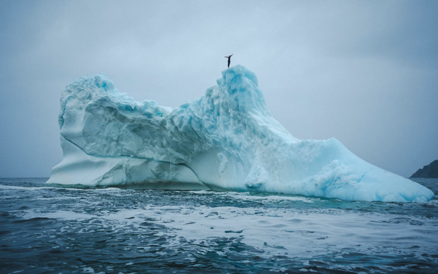 Cliff diver Molly Carson makes history, becomes first woman to dive off iceberg — WPBF Sports Palm Beach, Midland Sports news