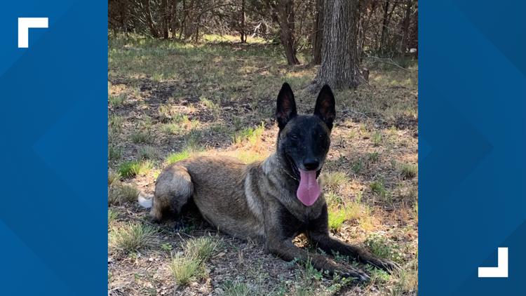 Killeen PD hosts retirement event for K9 — KCEN (Central Texas), Midland Community news