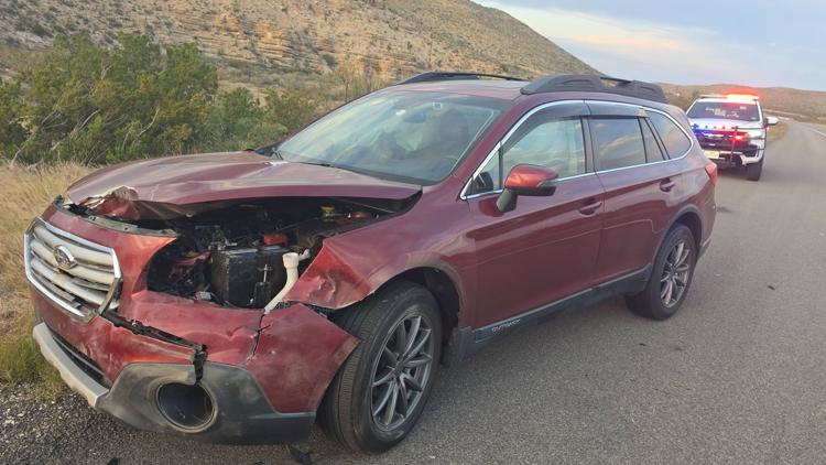 Reeves County deputies warn about invasive sheep following a crash on I-20 — Midland Community news