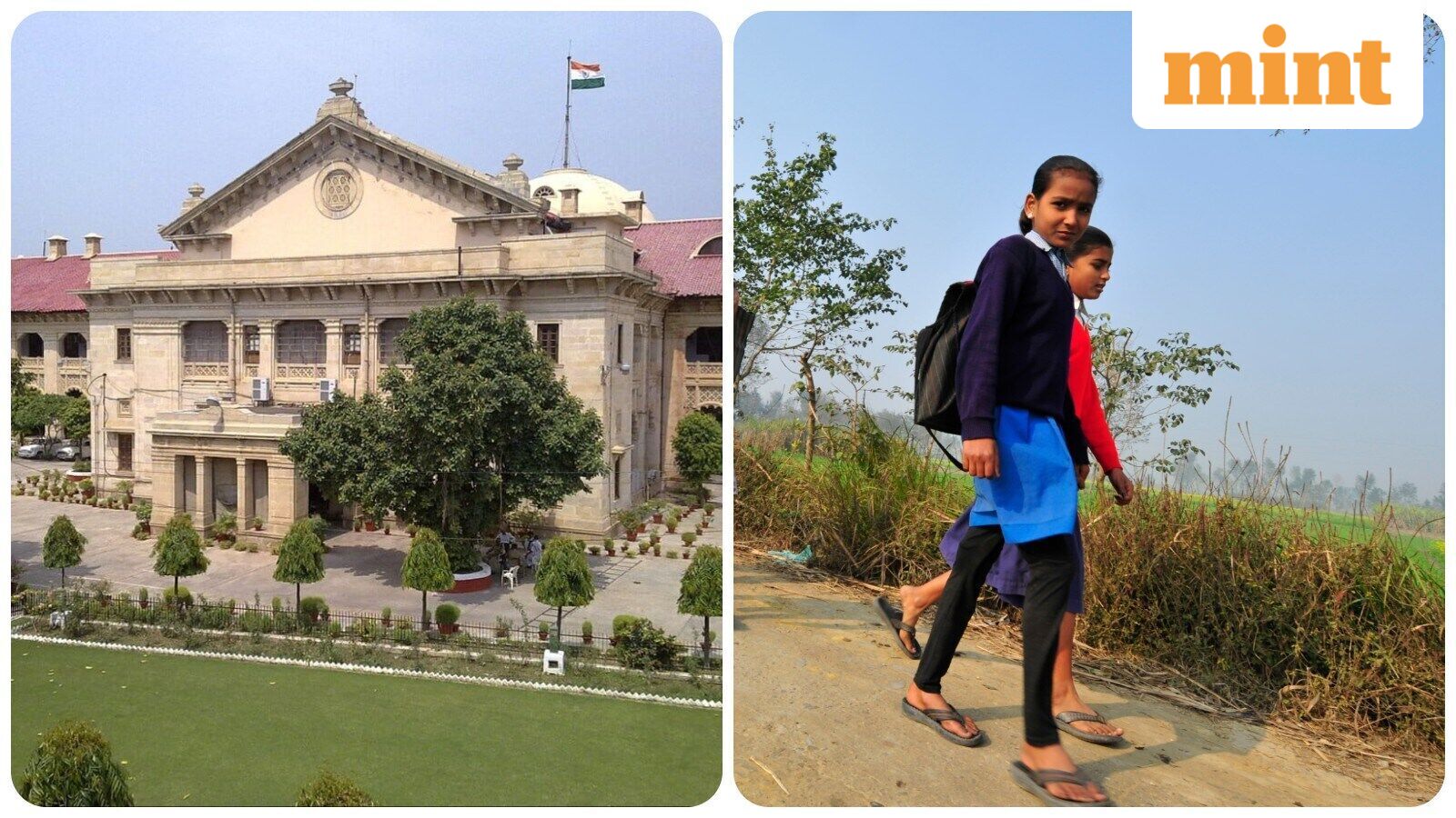 Allahabad HC tells all UP govt school teachers to get appointment letter, educational documents verified. Here's why — Mint India